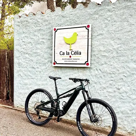 Ca La Celia Casa Con Spa, Piscina Y Bbq * Maçanet de Cabrenys
